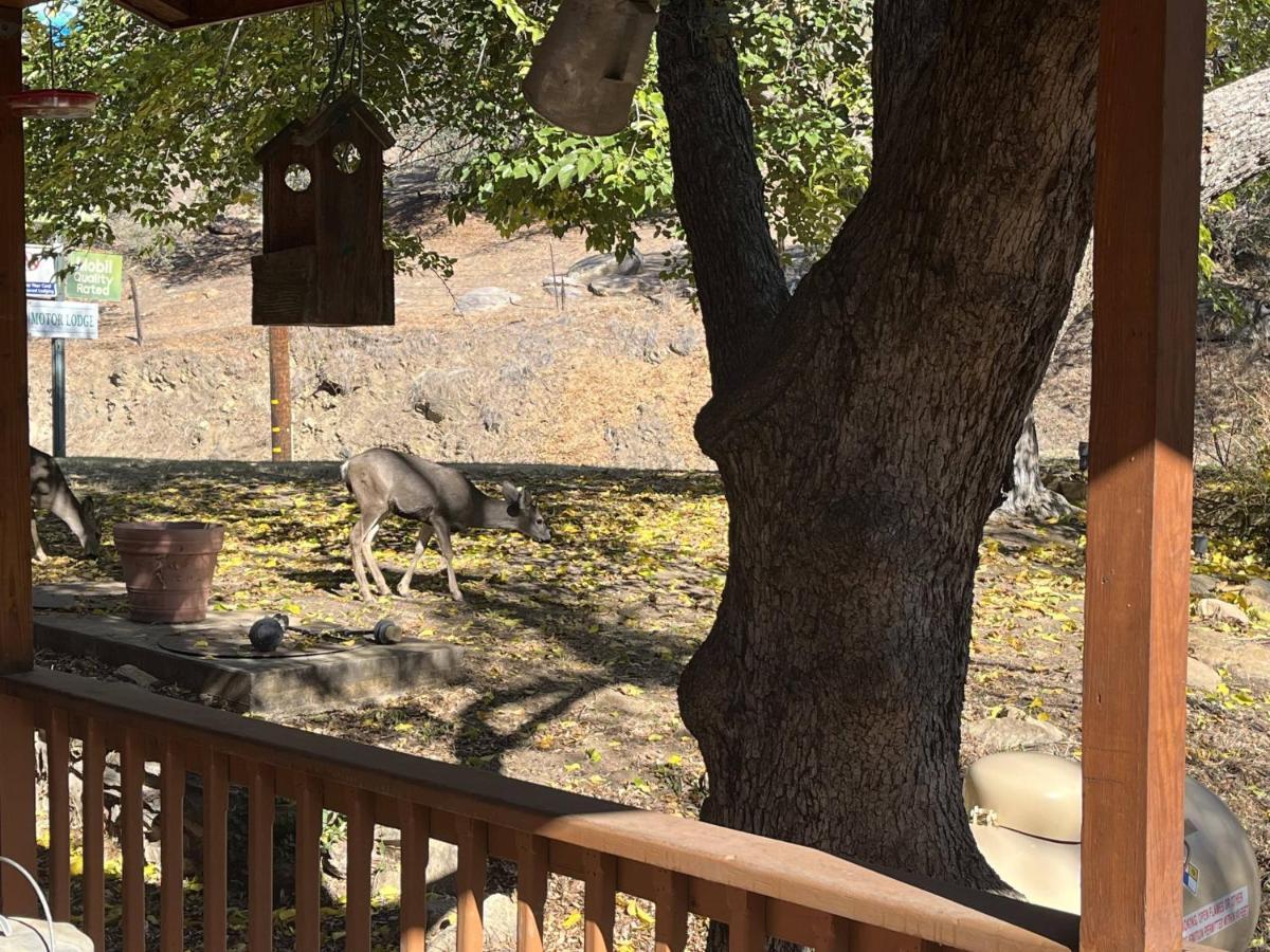Whispering Pines Lodge Kernville Exterior foto